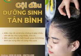 Bí quyết và lợi ích của việc gội đầu dưỡng sinh cho mái tóc khỏe đẹp